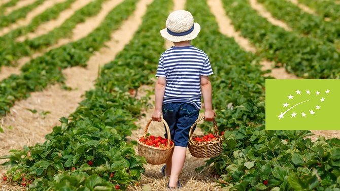 Όλα όσα θα ήθελες να ρωτήσεις για τα Βιολογικά Προϊόντα Title