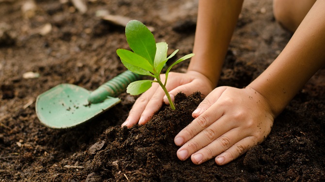 Γίνε παραγωγός κόμποστ στο σπίτι για τον κήπο σου Title